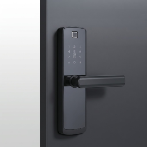 Oxalix OXALIX LEVER PRO Smart Mortise Door Lock | Fingerprint RFID Card Password WiFi Tuya App | Matte Black Anti-Theft - view 5