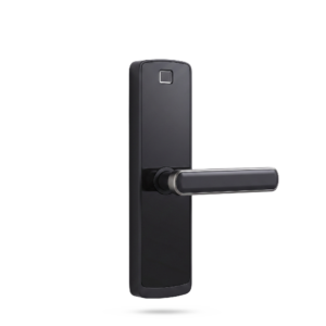 Mortise Locks